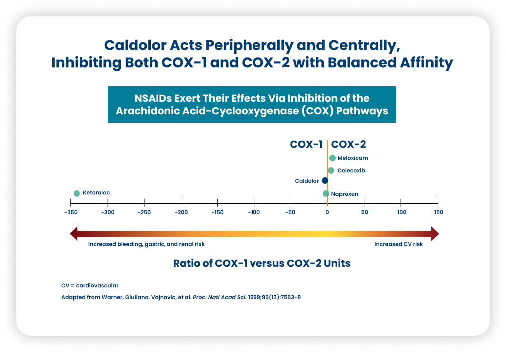 Chart Dual Cox